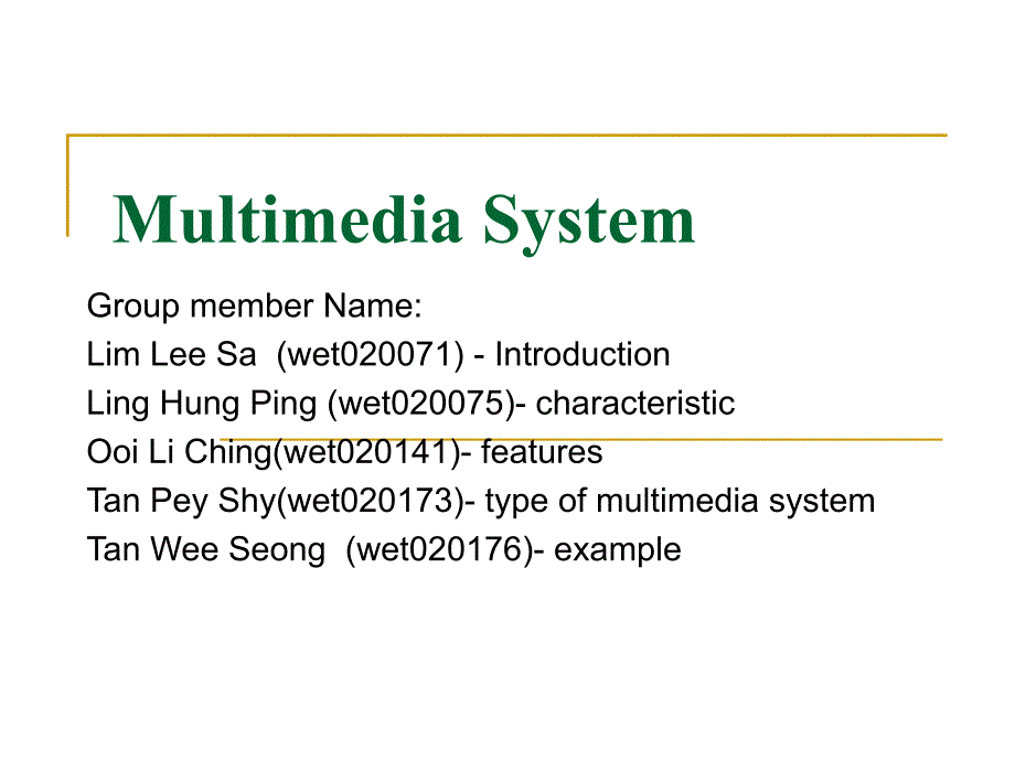 Multimedia System_第1页