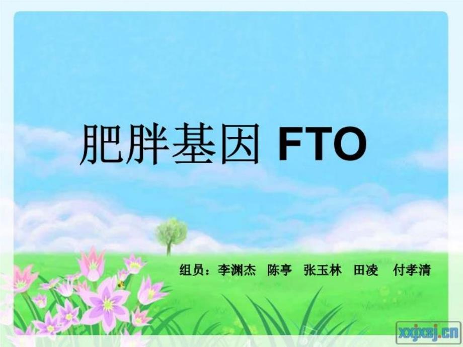 《肥胖基因FTO》PPT课件_第1页