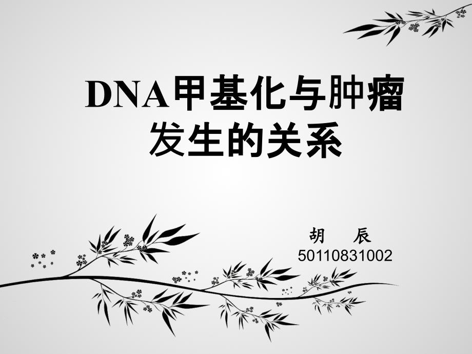 DNA甲基化与肿瘤关系_第1页