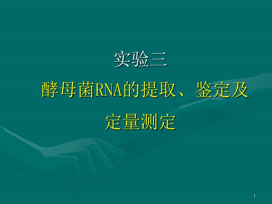 实验三酵母核糖核酸RNA的提取_第1页