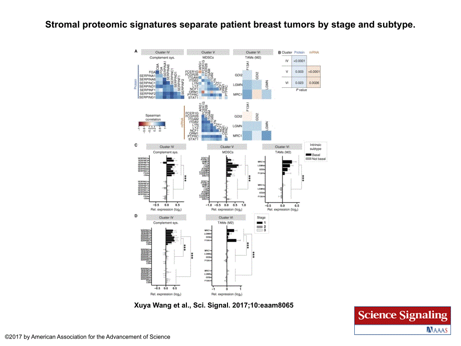 Stromalproteomicsignaturesseparatepatientbreasttumors_第1页