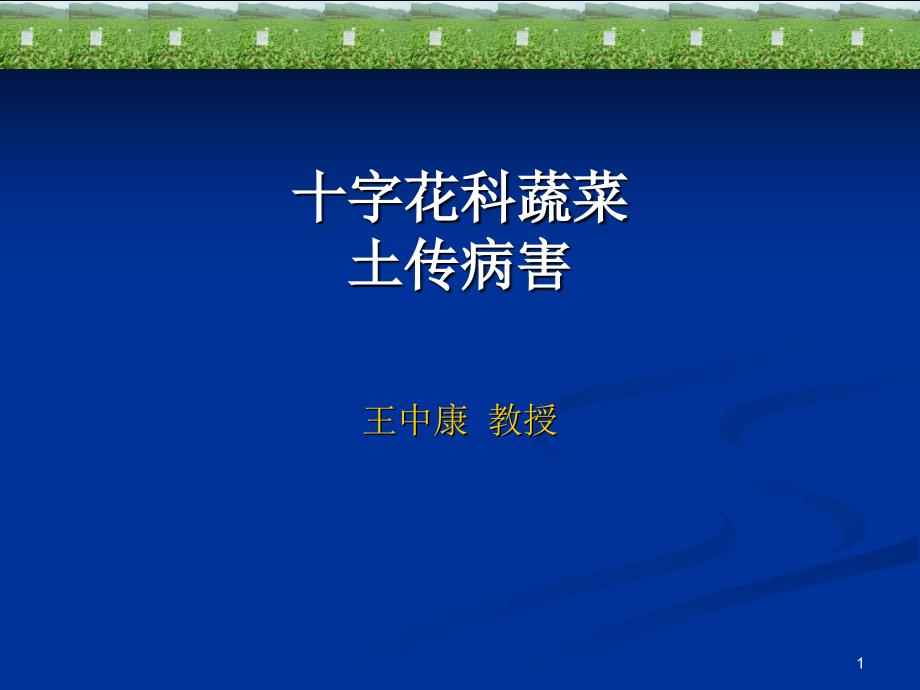 中加动物健康推广服务项目-中文首页_第1页