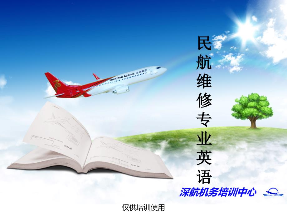 《航空专业英语》课件AMM阅读（32章）_第1页