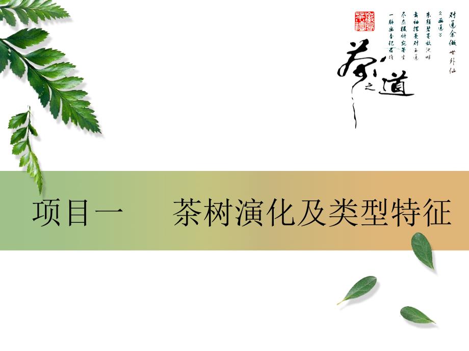 项目一茶树起源及生态特征36_第1页