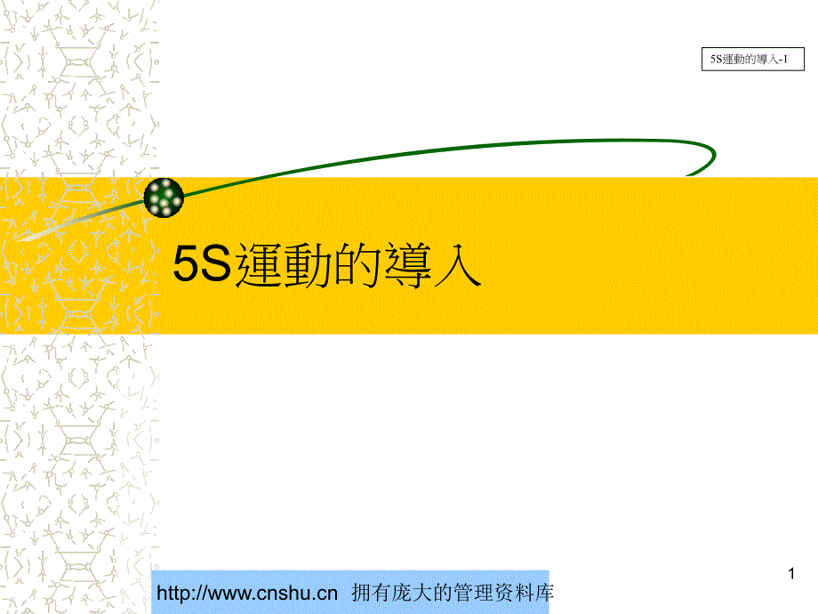 5S运动的导入培训讲义--james33830_第1页