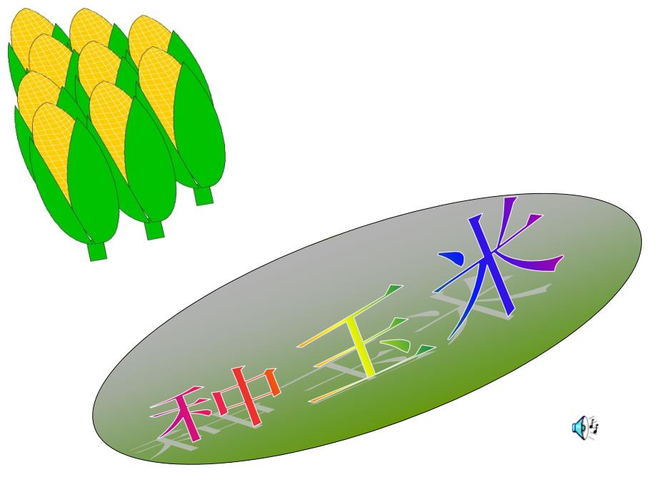 种玉米课件_第1页