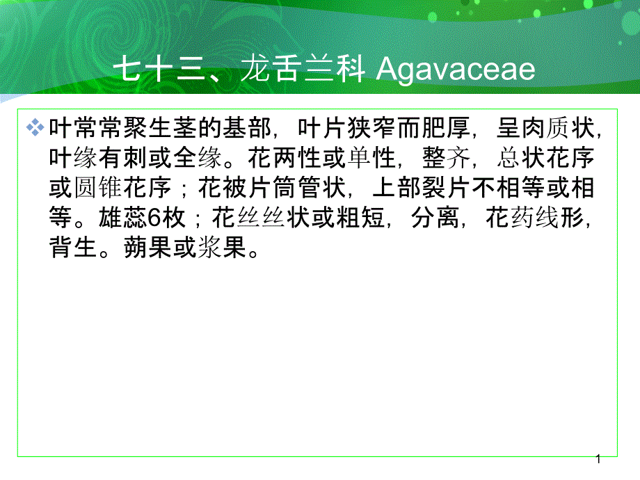 七十三龙舌兰科Agavaceae_第1页