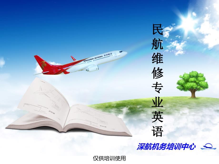 《航空专业英语》课件AMM阅读（22章）_第1页