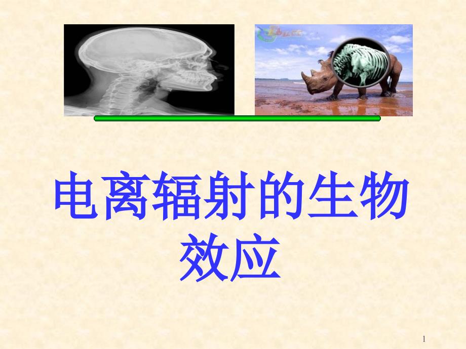 04电离辐射的生物效应_第1页