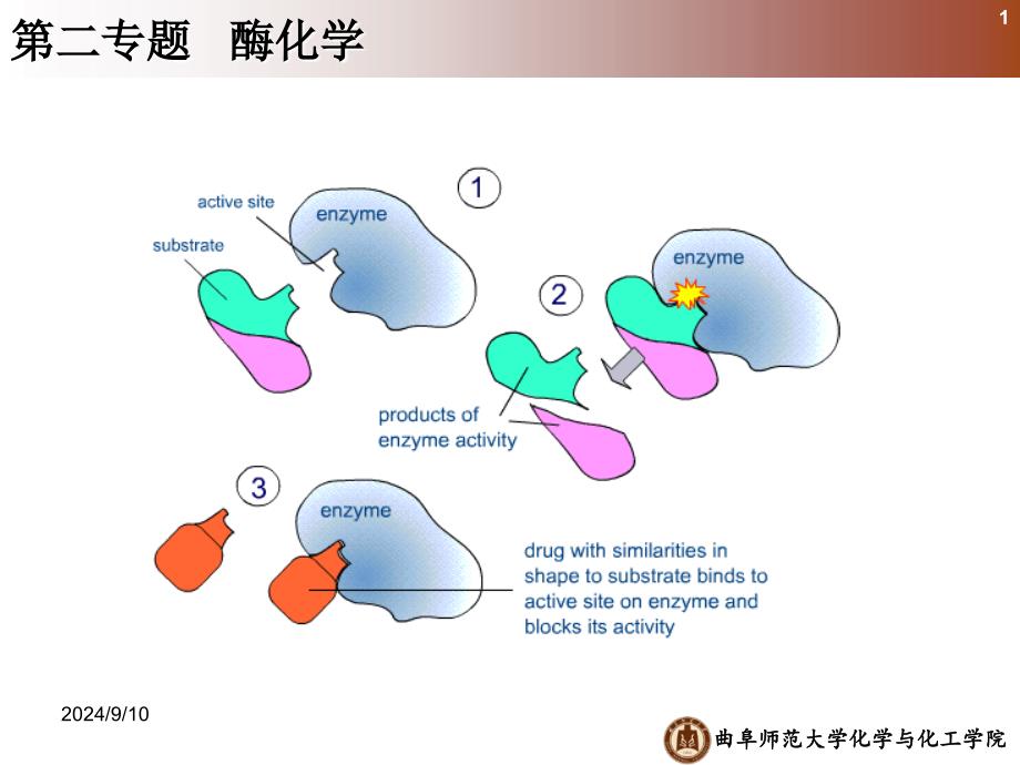 《化学生物学》课件Part 2_第1页