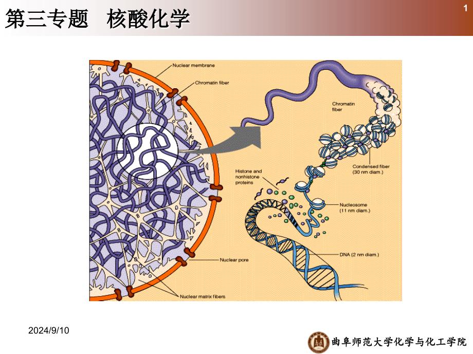 《化学生物学》课件Part 3_第1页