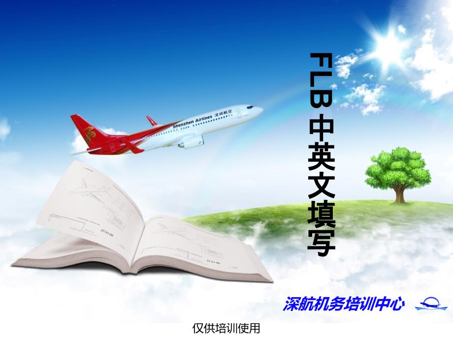 《航空专业英语》课件FLB填写R3-郑得如_第1页