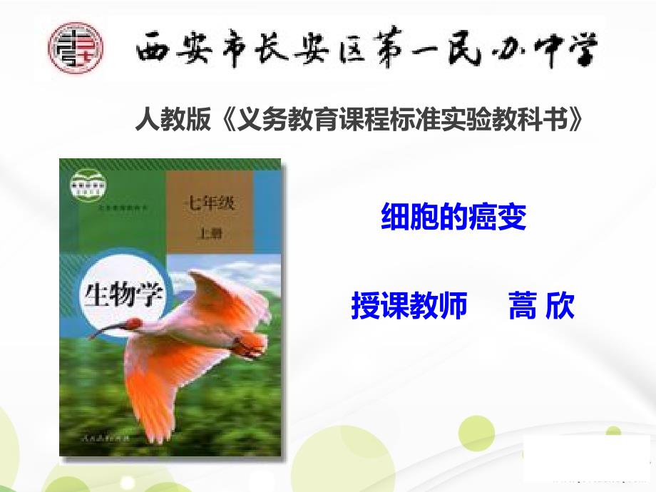 科学&amp#183;技术&amp#183;社会　“脱缰之马”——癌细胞 (3)_第1页