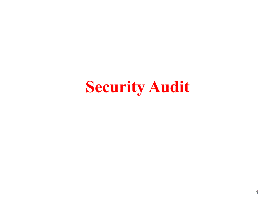 Security Audit_第1页