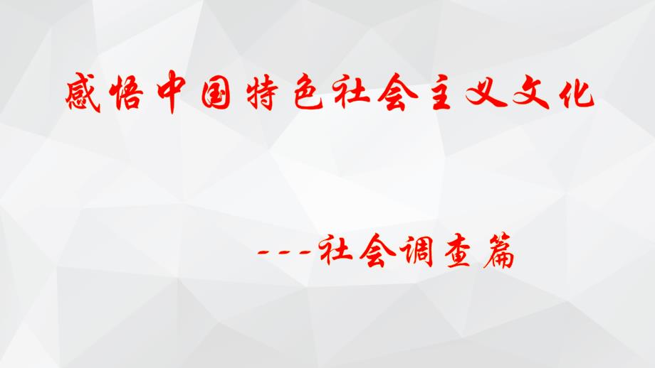 社会文化活动调查——实践与探究（一）_第1页