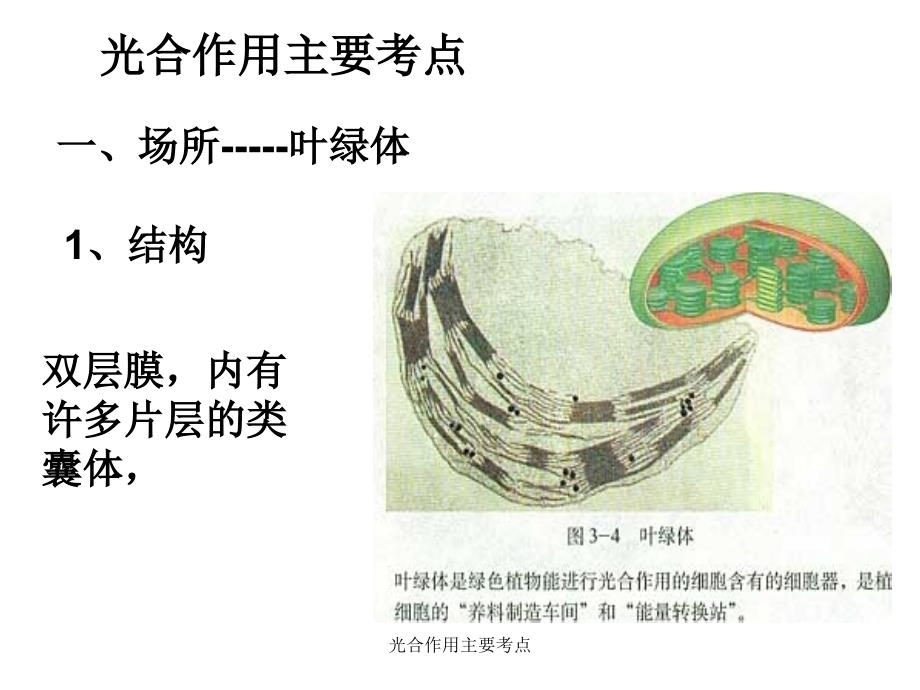 光合作用主要考点课件_第1页