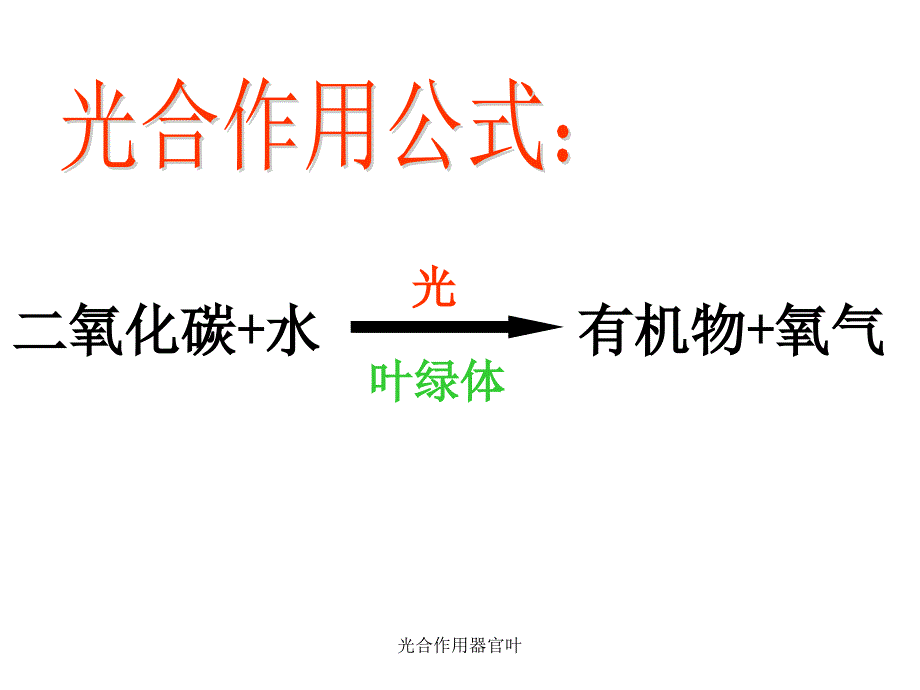 光合作用器官叶课件_第1页