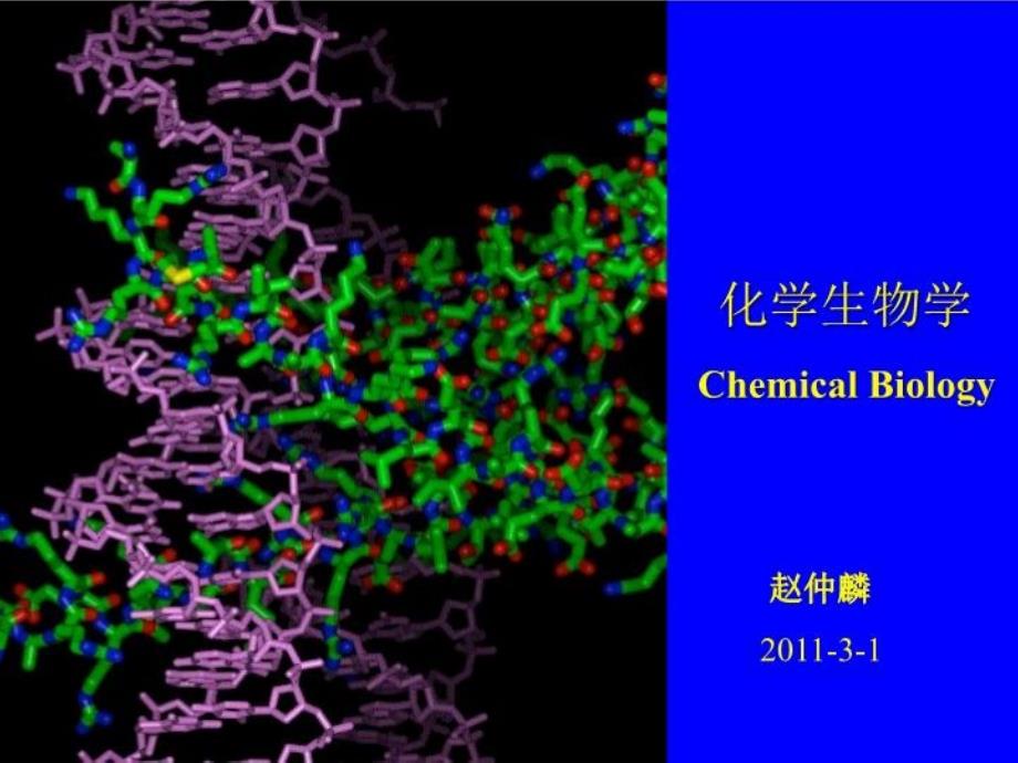 《化学生物学》PPT课件_第1页