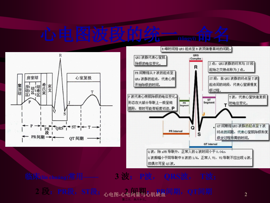 心电图-心电向量与心肌缺血课件_第1页