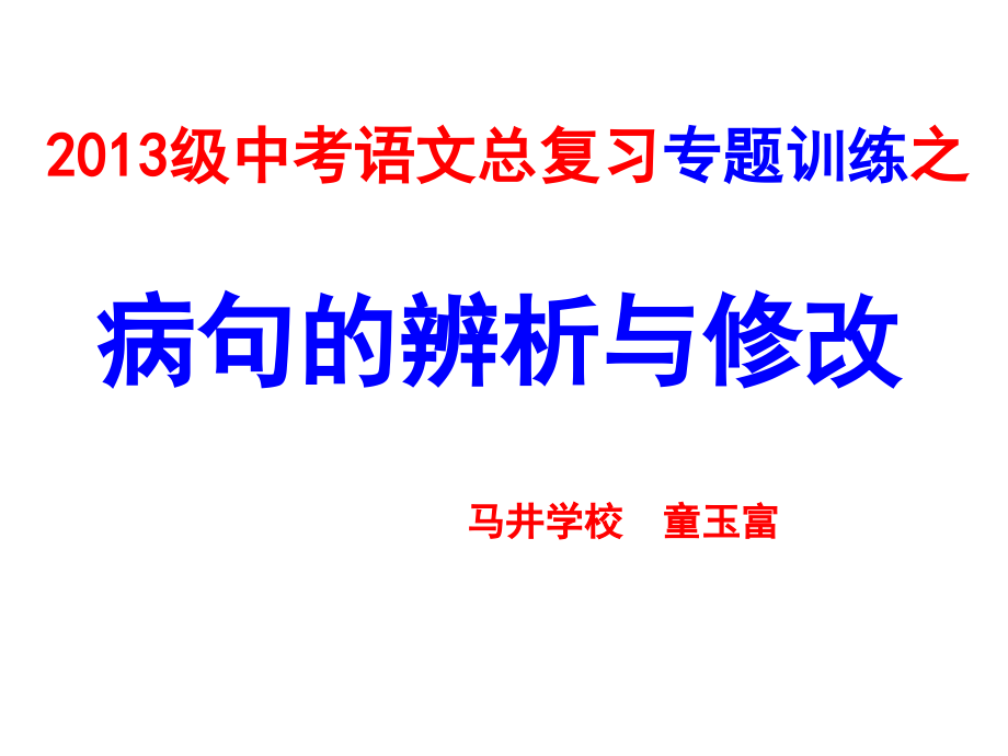 2013级中考语文总复习专题训练_第1页