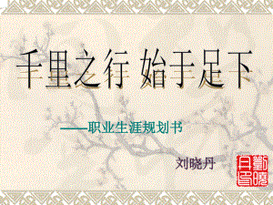 職業(yè)生涯規(guī)劃書 - 安徽廣播影視職業(yè)技術(shù)學(xué)院