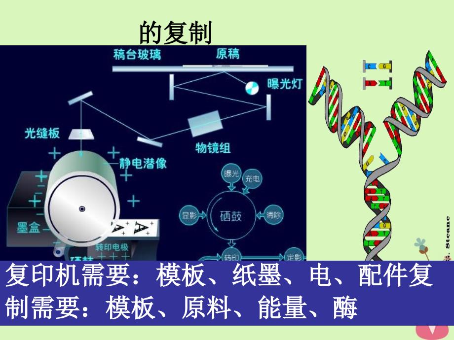 江西省南昌市高中生物第三章基因的本质3.3DNA课件_第1页