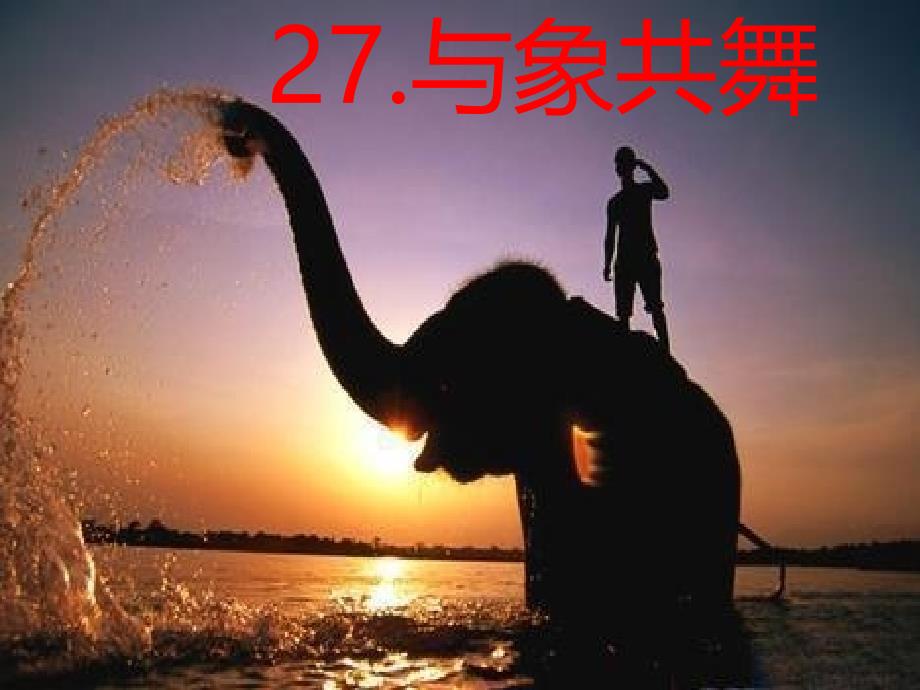 27.《与象共舞》完整课件_第1页