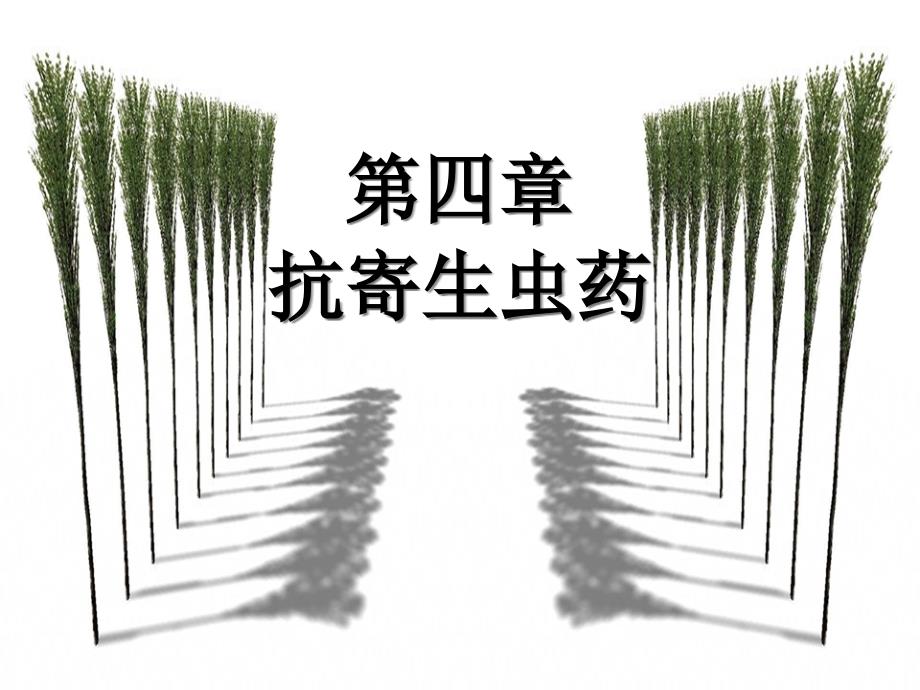 第四章抗寄生虫药（二）_《兽医药理学》课件_第1页