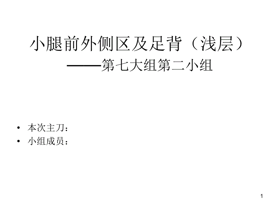 小腿前外侧区足部解剖浅层_第1页