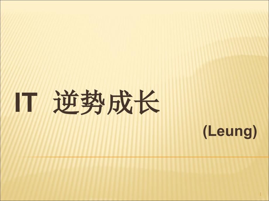 明智IT逆势成长梁远华Leung_第1页