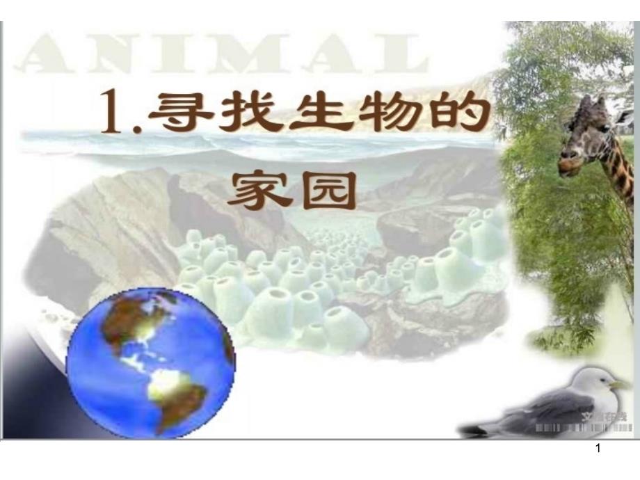 新建寻找生物的家园演示文稿_第1页