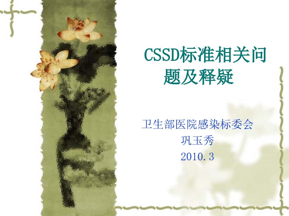 CSSD标准实施中的问题及要点释义课件_第1页