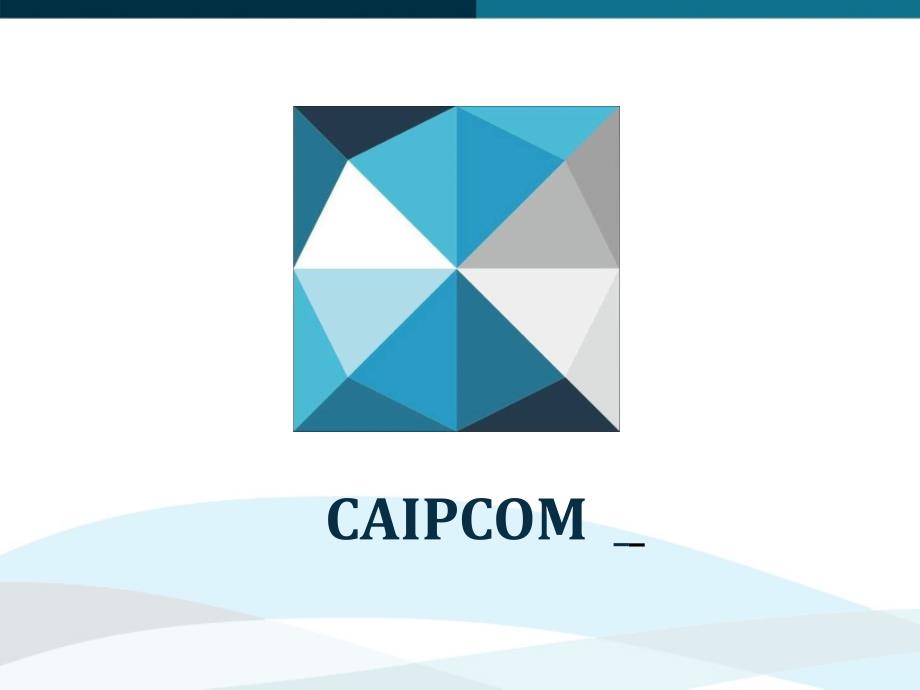 CAIPCOM-凯普康基金介绍三版_第1页