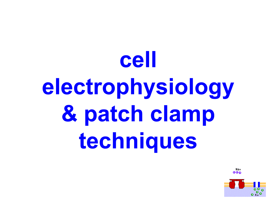 《卫生化学》课件11.细胞电生理学与膜片钳技术1_第1页