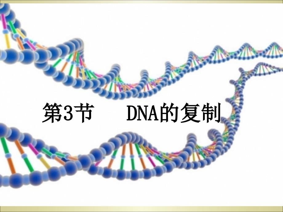 DNA半保留复制课件_第1页