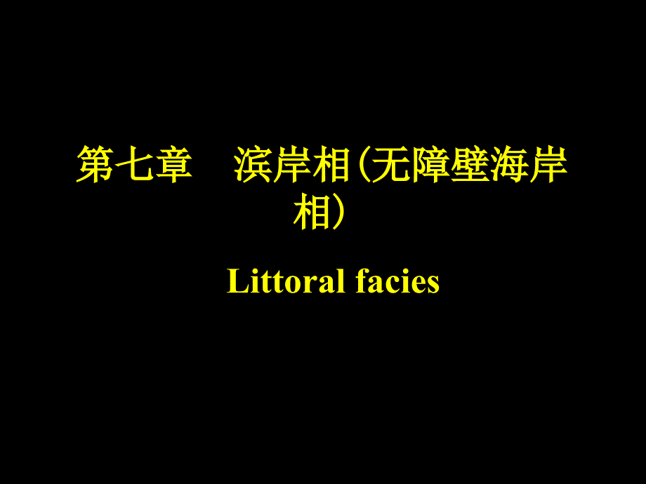 无障壁海岸相_第1页