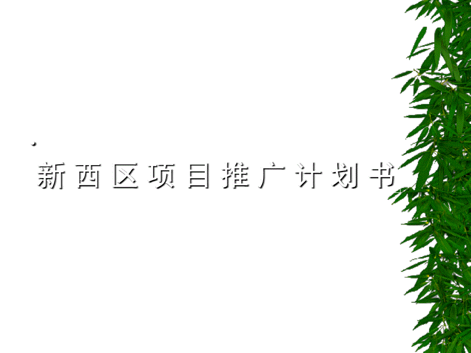 某楼盘项目推广计划书_第1页