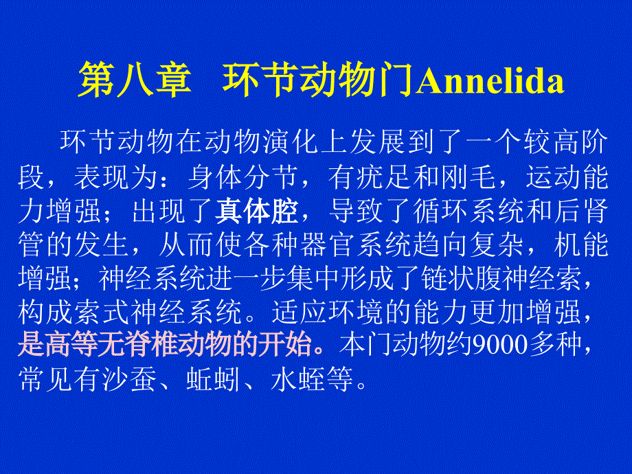 《无脊椎动物学》课件第八章 环节动物门_第1页