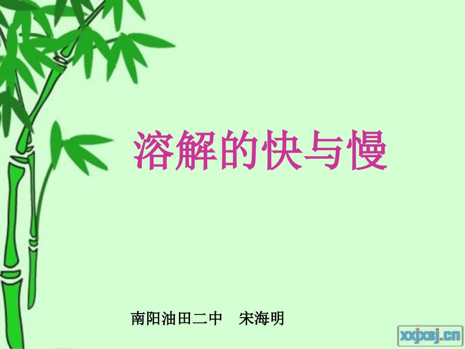 5.《溶解的快与慢》详解课件_第1页