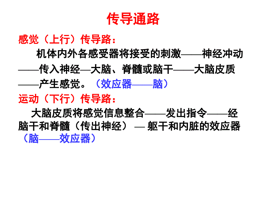 《系统解剖》课件27.传导路（2007）_第1页