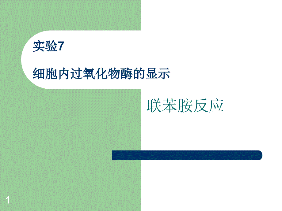 实验过氧化物酶显示_第1页