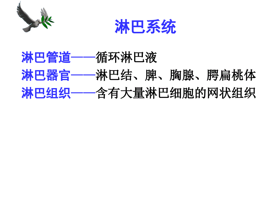 《系统解剖》课件20.淋巴内分泌系统wzf_第1页