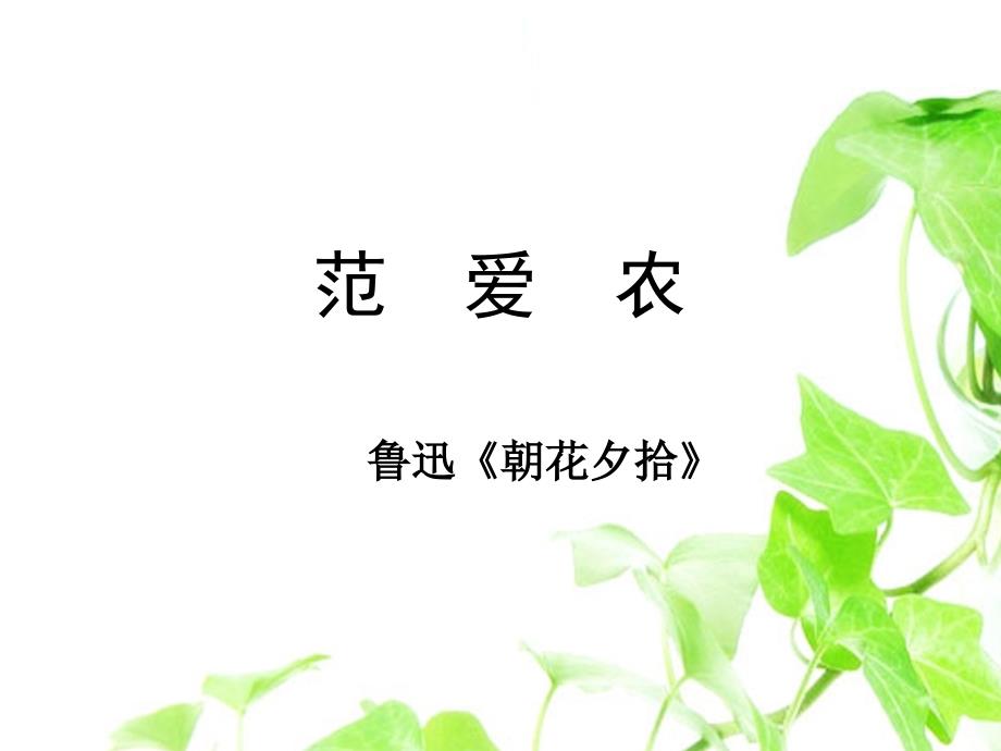 《范爱农》分解课件_第1页