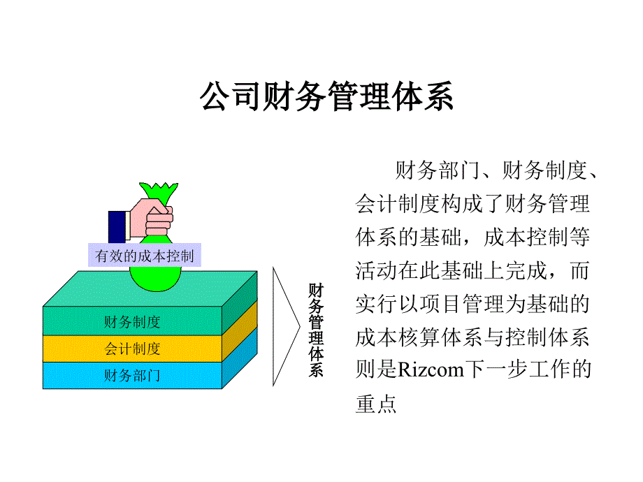 某公司财务管理体系_第1页