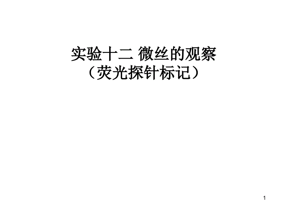 实验十二微丝的观察荧光探针标记_第1页