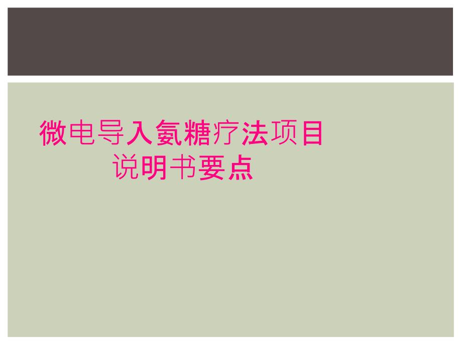 微电导入氨糖疗法项目说明书要点_第1页