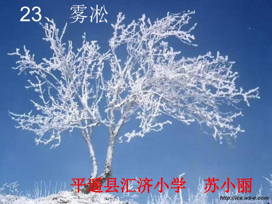 23《雾凇》ppt课件1_第1页