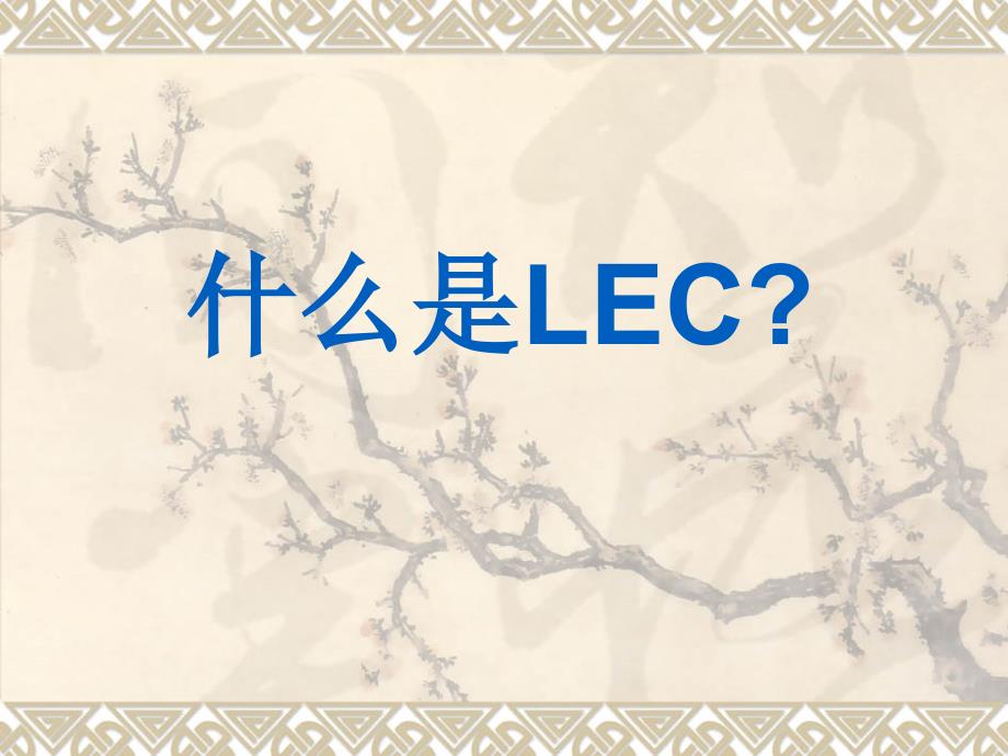 LEC评价法解读课件_第1页