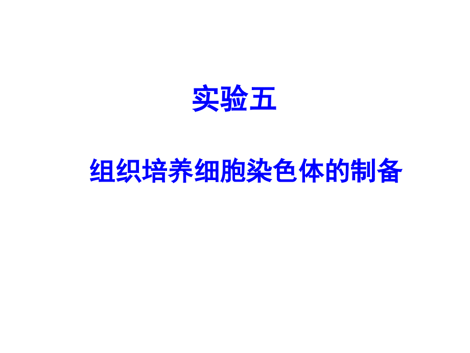 实验五. 细胞染色体制备_第1页