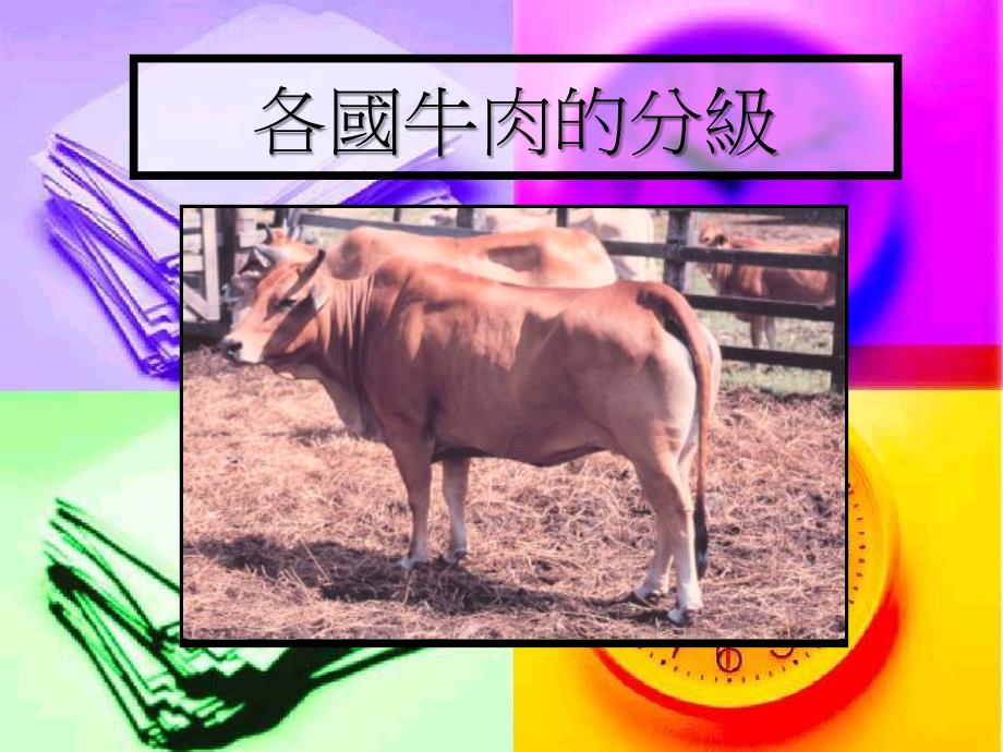 各国牛肉的分级_第1页